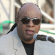 Steve Wonder (Frederick M. Brown/Getty Images)